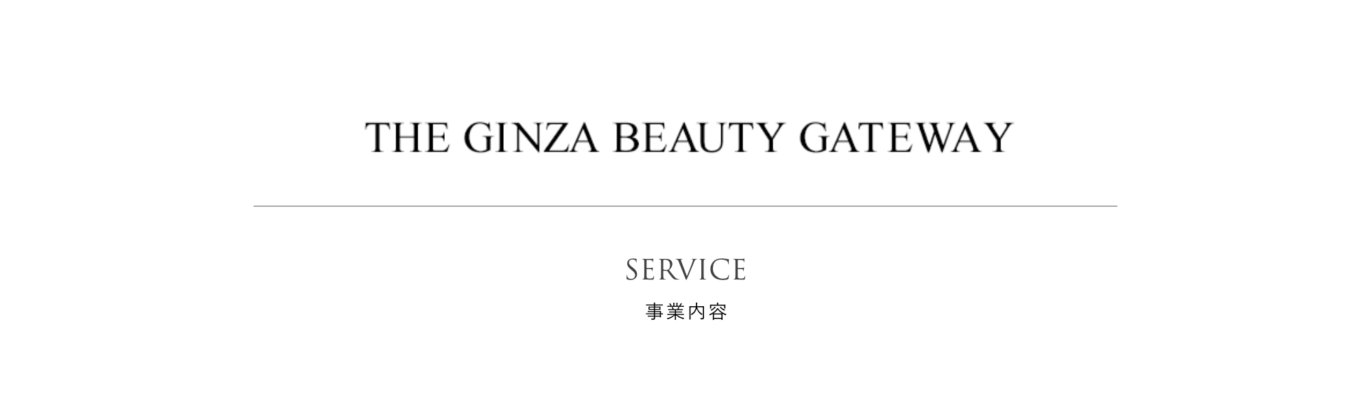 THE GINZA BEAUTY GATEWAY 事業内容