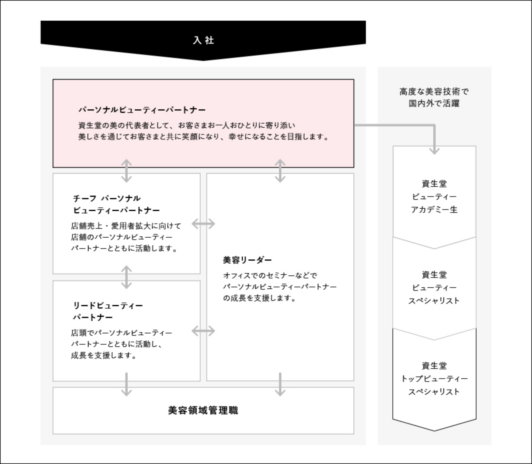 キャリアプラン